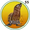 Foca